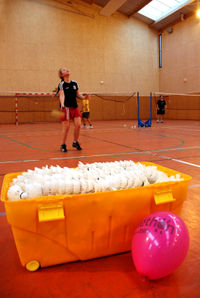 Image1_big_telethon_2008_010_340