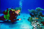 Image-corel-plongeur