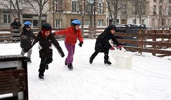 Image3_patinoire_510_14
