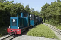 Image_gallery-1