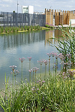 Image_parc_urbain_150_4976