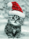 Chat noel-2
