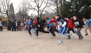 Image3_Cross_510_208