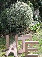 Voyelle_1_page
