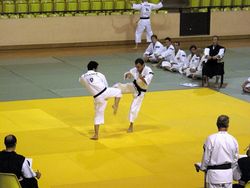 Shorinji kempo_ramzi-rachid-1