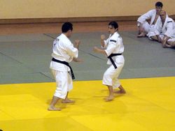 Shorinji kempo_carole-noel