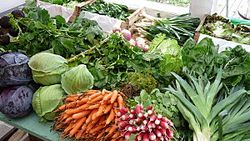 Legumes-d-hiver-008