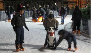 Image2_Patinoire_510_1_356