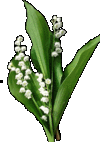 Muguet21[1]