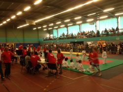 ASJJ-2013-06-2