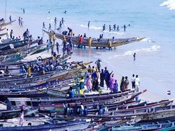Sénégal_pêche