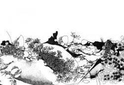 Unknown-1