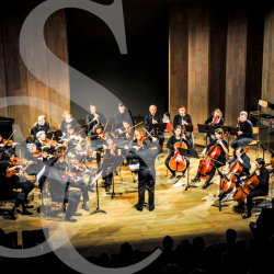Orchestre-description