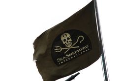Seashepherd_small_pt