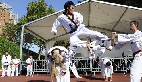 Taekwondo - ACT Phoenix Hwoarang